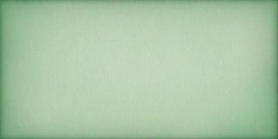 The primary subject of the image is a large, white, and green wall. The setting is a plain, empty room with no other objects or people visible. The visual style is a close-up of the wall, showcasing its texture and color. The colors and mood of the image are predominantly green, giving it a calm and serene atmosphere.