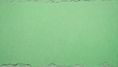The primary subject of the image is a green background. The setting is a green wall, and the visual style is a photo. The colors and mood of the image are predominantly green, creating a calm and serene atmosphere.