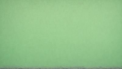 The primary subject of the image is a large, green wall. The setting is a room with a green background, which creates a calm and soothing atmosphere. The visual style is a close-up of the green wall, showcasing its texture and color. The dominant colors are green, which gives the image a serene and natural feel.