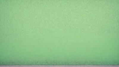 The primary subject of the image is a green wall. The setting is a room with a green wall, and the visual style is a photo. The dominant colors are green, and the overall atmosphere is calm and serene.