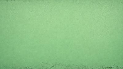 The primary subject of the image is a green wall. The setting is a room with a green wall, and the visual style is a photo. The dominant colors are green, and the overall atmosphere is calm and serene.