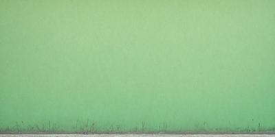 The primary subject of the image is a green wall. The setting is an outdoor environment, with the green wall serving as the backdrop. The visual style is a photo, capturing the green wall in its natural surroundings. The colors and mood of the image are predominantly green, creating a calm and serene atmosphere.