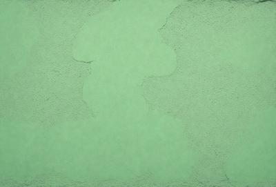The primary subject of the image is a green surface with a pattern of a face or a character. The setting is a green background, and the visual style appears to be a combination of a photo and digital art. The colors and mood of the image are predominantly green, giving it a calm and soothing atmosphere.