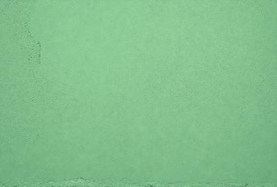 The primary subject of the image is a large, green wall. The setting is a plain, empty room with no other objects or people visible. The visual style is a close-up of the green wall, which gives a sense of depth and texture. The colors and mood of the image are predominantly green, creating a calm and serene atmosphere.