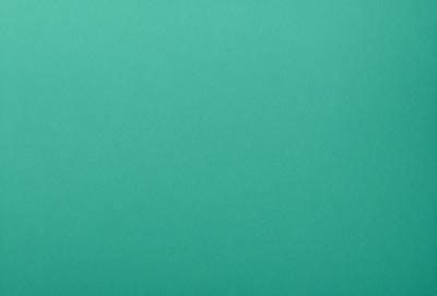 The primary subject of the image is a large, empty, and bright green wall. The setting is a room with a green background, and the visual style is a photo. The colors and mood of the image are predominantly green, creating a calm and serene atmosphere.