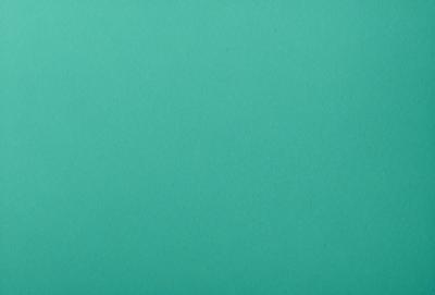 The primary subject of the image is a large, unblemished green wall. The setting is a plain, empty room with no other objects or distractions. The visual style is a close-up of the green wall, which gives a sense of depth and texture. The colors and mood of the image are predominantly green, creating a calm and serene atmosphere.