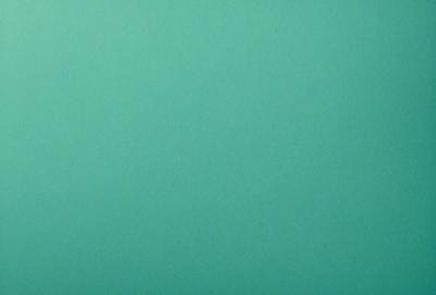 The primary subject of the image is a large, empty, and bright green wall. The setting is a room with a green background, and the visual style is a photo. The colors and mood of the image are predominantly green, creating a calm and serene atmosphere.