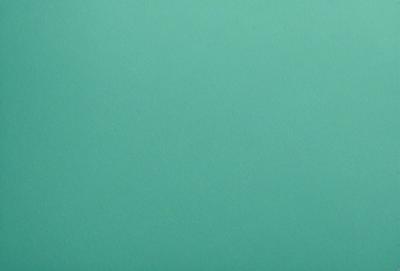 The primary subject of the image is a large, empty, and bright green wall. The setting is a room with a green background, and the visual style is a photo. The colors and mood of the image are predominantly green, creating a calm and serene atmosphere.