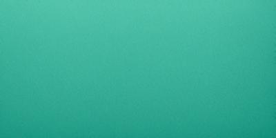 The primary subject of the image is a large, green wall. The setting is a plain, empty room with no other objects or people visible. The visual style is a close-up of the green wall, which gives a sense of depth and texture to the image. The colors and mood of the image are predominantly green, creating a calm and serene atmosphere.