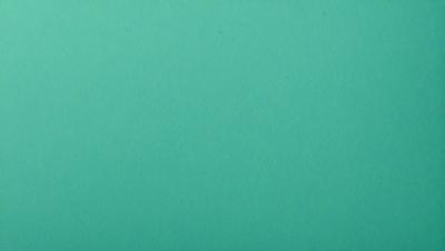 The primary subject of the image is a large, green, textured surface. The setting is a bright, open space, possibly a room or an outdoor area. The visual style is a close-up of the green surface, which gives a sense of depth and texture. The colors and mood of the image are predominantly green, creating a calm and serene atmosphere.