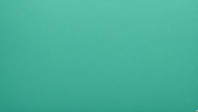The primary subject of the image is a large, green wall. The setting is a plain, empty room with no other objects or people visible. The visual style is a close-up of the green wall, which gives a sense of depth and texture to the image. The colors and mood are predominantly green, creating a calm and serene atmosphere.