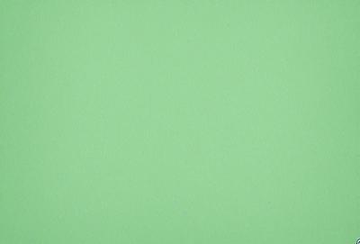 The primary subject of the image is a large, green wall. The setting is a plain, empty room with no other objects or people visible. The visual style is a close-up of the green wall, which gives a sense of depth and texture. The colors and mood of the image are predominantly green, creating a calm and serene atmosphere.