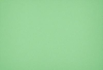 The primary subject of the image is a large, green wall. The setting is a plain, empty room with no other objects or people visible. The visual style is a close-up of the green wall, which gives a sense of depth and texture. The colors and mood of the image are predominantly green, creating a calm and serene atmosphere.