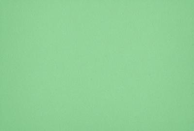 The primary subject of the image is a large, green wall. The setting is a plain, empty room with no other objects or people visible. The visual style is a close-up of the green wall, which gives a sense of depth and texture. The colors and mood of the image are predominantly green, creating a calm and serene atmosphere.