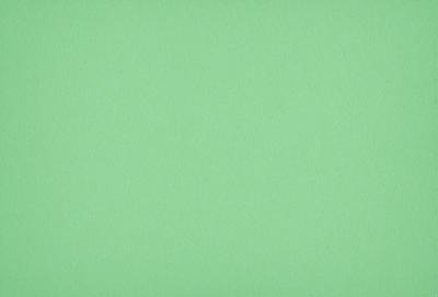The primary subject of the image is a large, green wall. The setting is a plain, empty room with no other objects or people visible. The visual style is a close-up of the green wall, which gives a sense of depth and texture to the image. The colors and mood are predominantly green, creating a calm and serene atmosphere.