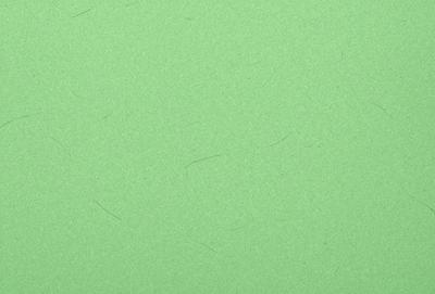 The primary subject of the image is a green background with a few white strands of hair on it. The setting is a green surface, possibly a wall or a piece of fabric. The visual style is a close-up of the green background with the white strands of hair. The colors and mood of the image are predominantly green, with a touch of white from the hair.
