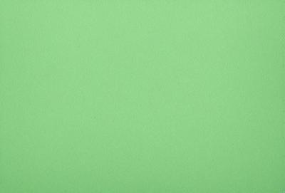 The primary subject of the image is a large, bright green wall. The setting is a plain, empty room with no other objects or people visible. The visual style is a close-up of the green wall, which gives a sense of depth and texture. The colors and mood of the image are predominantly green, creating a calm and serene atmosphere.