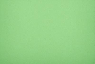 The primary subject of the image is a large, bright green wall. The setting is a plain, empty room with no other objects or people visible. The visual style is a close-up of the green wall, which gives a sense of depth and texture. The colors and mood of the image are predominantly green, creating a calm and serene atmosphere.