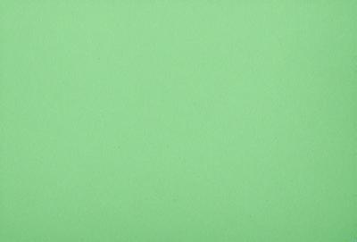 The primary subject of the image is a large, green wall. The setting is a plain, empty room with no other objects or people visible. The visual style is a close-up of the green wall, which gives a sense of depth and texture to the image. The colors and mood are predominantly green, creating a calm and serene atmosphere.
