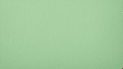 The primary subject of the image is a large, green sheet of paper. The setting is a plain, white background, and the visual style is a close-up of the paper. The colors are predominantly green, and the mood is calm and uncluttered.