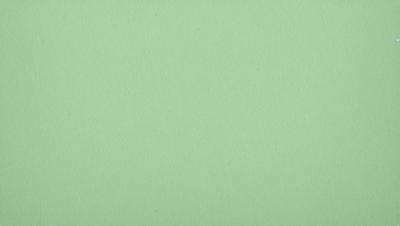 The primary subject of the image is a green background. The setting is a plain, unadorned surface. The visual style is a simple, uncluttered design. The colors and mood are predominantly green, creating a calm and serene atmosphere.