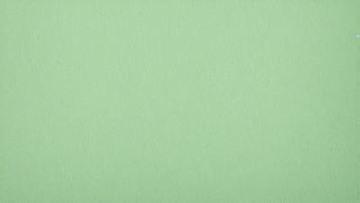 The primary subject of the image is a green wall. The setting is a plain, empty room with no other objects or people visible. The visual style is a close-up of the green wall, which gives a sense of depth and texture to the image. The colors and mood are predominantly green, creating a calm and serene atmosphere.