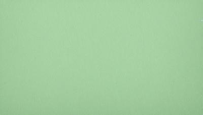 The primary subject of the image is a large, green wall. The setting is a plain, empty room with no other objects or people visible. The visual style is a close-up of the green wall, which gives a sense of depth and texture. The colors and mood of the image are predominantly green, creating a calm and serene atmosphere.