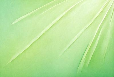 The primary subject of the image is a green leaf, which is the main object, scene, or focus of the image. The setting or background is a green surface, which could be a wall, a background, or a pattern. The visual style of the image is a photo, as it appears to be a close-up of the green leaf. The colors and mood of the image are predominantly green, creating a calm and natural atmosphere.