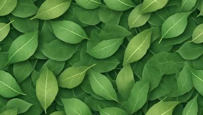 The primary subject of the image is a large group of green leaves, which are the main objects in the scene. The leaves are arranged in a pattern, covering the entire image. The setting is a green background, which complements the vibrant green color of the leaves. The visual style of the image is a close-up of the leaves, showcasing their intricate details. The overall atmosphere of the image is lush and fresh, with a strong emphasis on the natural beauty of the green leaves.