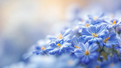The primary subject of the image is a close-up of a flower, with a focus on its petals and details. The setting is a bright, sunny day, and the visual style is a natural, realistic representation of the flower. The dominant colors in the image are blue and white, creating a serene and calming atmosphere.