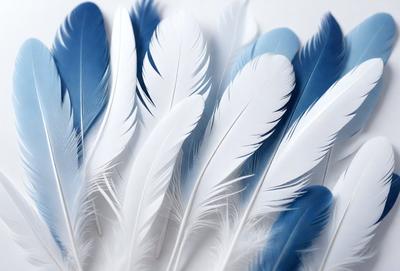 The primary subject of the image is a close-up of a white feather. The setting is a white background, which provides a clean and minimalistic environment. The visual style is a realistic representation of the feather, showcasing its intricate details. The colors and mood of the image are predominantly white, giving it a clean and serene atmosphere.