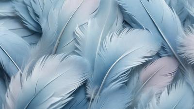 The primary subject of the image is a large group of white feathers, which are arranged in a visually appealing manner. The feathers are spread across the entire image, covering the entire frame. The setting appears to be a blue background, which complements the white feathers and adds to the overall visual style. The image is a close-up of the feathers, showcasing their intricate details and textures. The colors and mood of the image are predominantly white and blue, creating a serene and cal