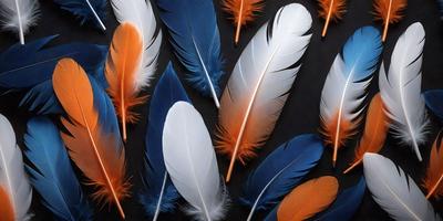 The primary subject of the image is a collection of feathers, which are displayed in various colors and patterns. The feathers are arranged in a visually appealing manner, creating a sense of depth and dimension. The setting is a black background, which provides a striking contrast to the vibrant colors of the feathers. The visual style of the image is a combination of photo and digital art, as the feathers are presented in a way that showcases their intricate details and textures. The dominant colors in the image are orange,