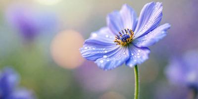The primary subject of the image is a blue flower with yellow pollen, which is the main focus of the image. The setting is a garden, with the flower sitting on a bed of green grass. The visual style is a photo, capturing the beauty of the flower in its natural environment. The dominant colors are blue and yellow, creating a serene and calming atmosphere.
