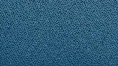 The primary subject of the image is a blue leather material, which appears to be a leather-like fabric. The setting is a close-up of the material, showcasing its texture and pattern. The visual style is a realistic representation of the leather material, and the colors and mood are predominantly blue, giving the material a sleek and sophisticated appearance.