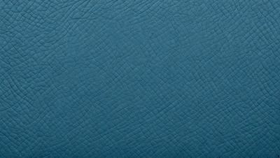 The primary subject of the image is a blue leather material, which appears to be a piece of leather or a leather-like fabric. The setting is a close-up of the material, showcasing its texture and color. The visual style is a close-up of the leather material, which gives a sense of the material's texture and quality. The colors and mood of the image are predominantly blue, which gives a sense of calmness and sophistication.