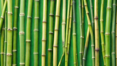 The primary subject of the image is a collection of bamboo stalks, which are arranged in a visually appealing manner. The setting is a green background, which provides a contrasting and vibrant backdrop for the bamboo stalks. The visual style of the image is a close-up of the bamboo stalks, showcasing their texture and details. The colors in the image are predominantly green, which is the color of the background, and the bamboo stalks