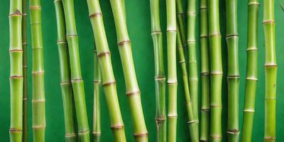 The primary subject of the image is a close-up of a bunch of bamboo shoots. The setting is a green background, which provides a natural and vibrant atmosphere. The visual style is a photo, capturing the details and textures of the bamboo shoots. The colors are predominantly green, which is the color of the bamboo shoots and the background. The overall mood of the image is serene and natural, showcasing the beauty of the bamboo