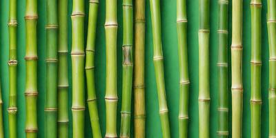 The primary subject of the image is a close-up of several green bamboo stalks. The setting is a green background, which provides a natural and vibrant atmosphere. The visual style is a photo, capturing the details and textures of the bamboo stalks. The colors and mood of the image are predominantly green, creating a sense of freshness and tranquility.