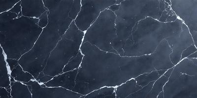 The primary subject of the image is a black and white marble tile. The setting is a black and white marble wall, which serves as the background. The visual style is a close-up of the marble tile, showcasing its intricate patterns and textures. The colors and mood of the image are predominantly black and white, giving it a classic and elegant appearance.