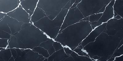 The primary subject of the image is a black and white marble countertop. The setting is a kitchen, with the countertop being the main focus of the scene. The visual style is a photo, capturing the intricate patterns and textures of the marble countertop. The colors and mood of the image are predominantly black and white, giving it a classic and elegant appearance.