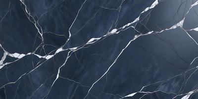 The primary subject of the image is a blue and white marble tile. The setting is a wall with a blue and white marble tile pattern. The visual style is a close-up of the tile, showcasing its intricate design. The colors and mood of the image are predominantly blue and white, creating a clean and elegant atmosphere.