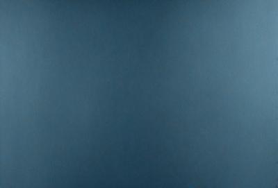 The primary subject of the image is a blue wall. The setting is a room with a blue wall, and the visual style is a photo. The dominant colors are blue, and the overall atmosphere is calm and serene.