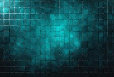 The primary subject of the image is a blue and white tile wall. The setting is a room with a blue and white tile wall as the main focus. The visual style is a photo of the tile wall. The dominant colors are blue and white, creating a calm and soothing atmosphere.