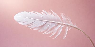 The primary subject of the image is a white feather, which is the main object, scene, or focus of the image. The feather is placed on a pink background, creating a visually appealing contrast between the white feather and the pink surface. The visual style of the image is a close-up of the feather, showcasing its details and texture. The colors and mood of the image are predominantly pink and white, giving it a delicate and elegant appearance.