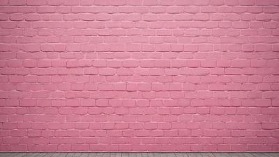 The primary subject of the image is a pink brick wall. The setting is a brick wall, and the visual style is a photo. The dominant colors are pink and red, creating a warm and inviting atmosphere.