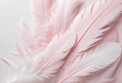 The primary subject of the image is a close-up of a pink feather. The setting is a white background, which provides a clean and minimalistic environment. The visual style is a realistic representation of the feather, showcasing its texture and details. The colors and mood of the image are predominantly pink, creating a soft and delicate atmosphere.