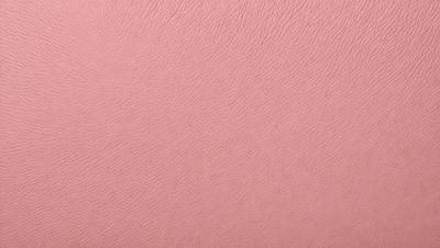 The primary subject of the image is a close-up of a pink leather surface. The setting is a pink background, which creates a visually striking contrast with the leather. The visual style is a photo, showcasing the leather's texture and color. The dominant colors are pink and the overall atmosphere is warm and inviting.