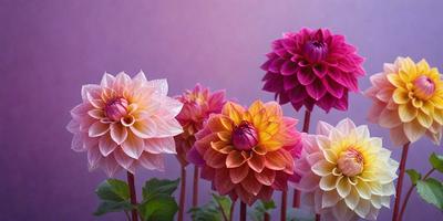 The primary subject of the image is a group of colorful flowers, including pink, yellow, and orange ones, arranged in a vase. The flowers are placed on a purple surface, which serves as the setting or background. The visual style of the image is a close-up of the flowers, showcasing their vibrant colors and details. The overall atmosphere of the image is lively and cheerful, with the flowers creating a sense of warmth and beauty.