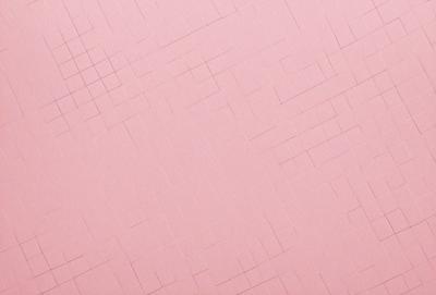 The primary subject of the image is a pink wall with a patterned design. The setting is a room with a pink wall, and the visual style is a close-up of the wall. The colors and mood of the image are predominantly pink, creating a warm and inviting atmosphere.